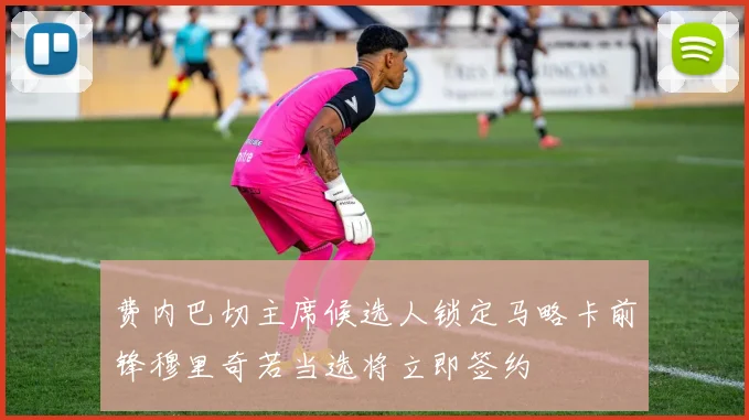 费内巴切主席候选人锁定马略卡前锋穆里奇若当选将立即签约