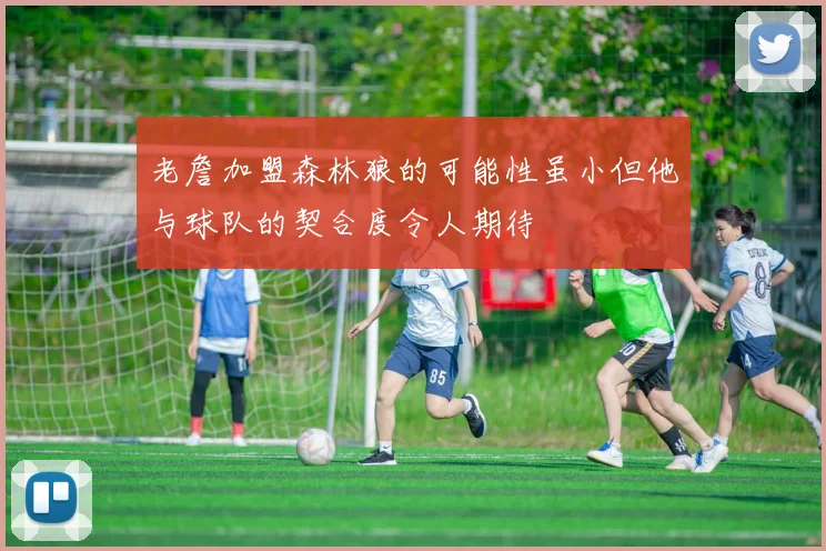 老詹加盟森林狼的可能性虽小但他与球队的契合度令人期待